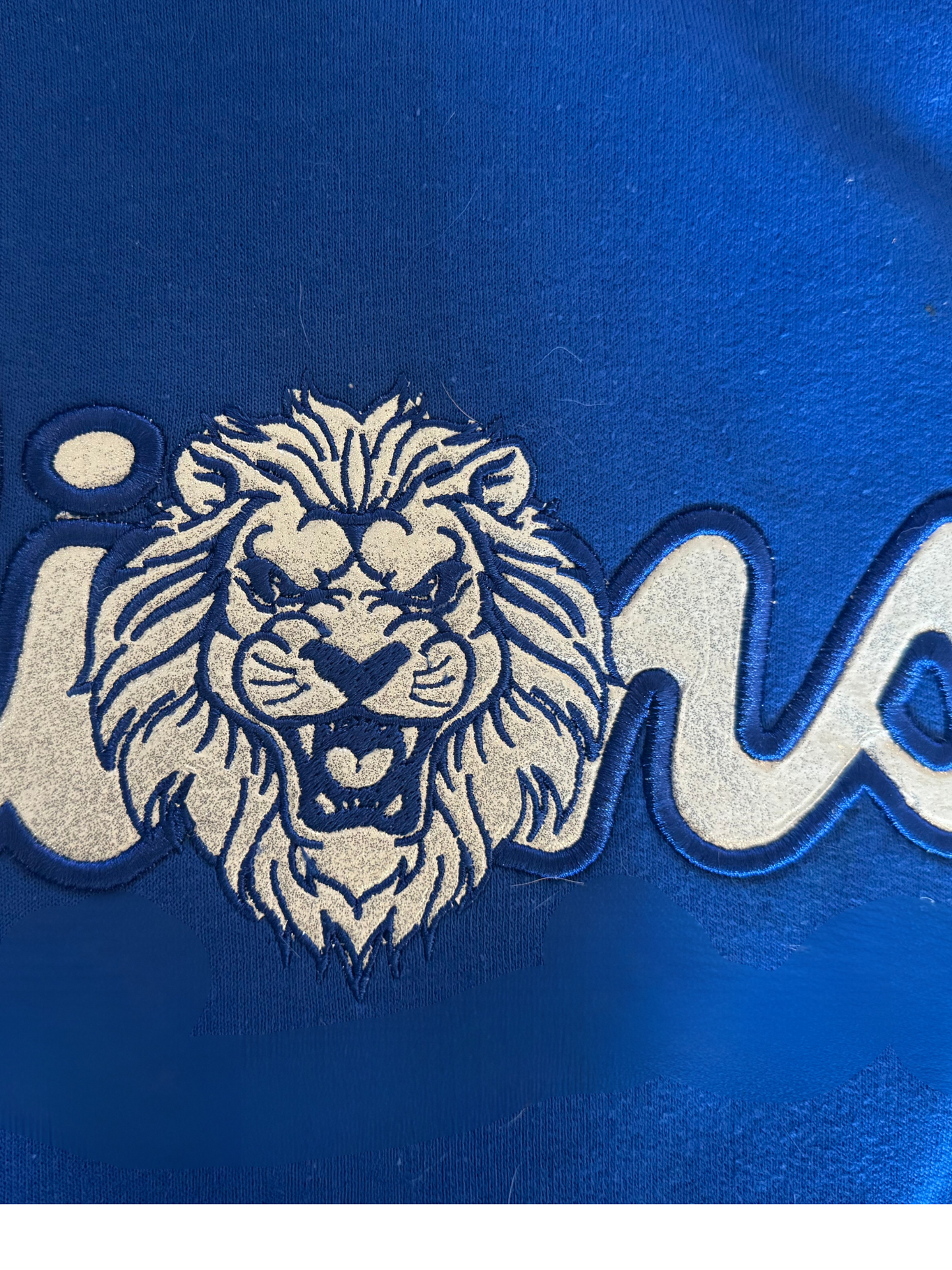 Lions Embroidered Sweatshirt