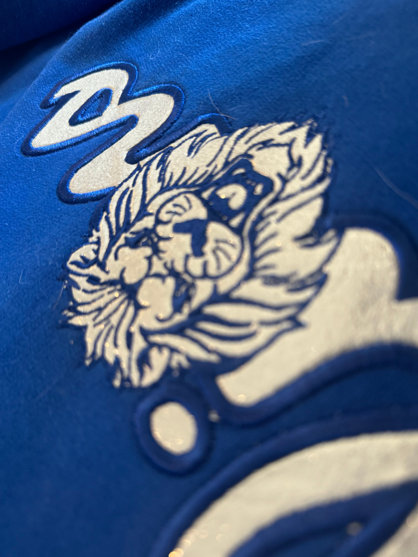 Lions Embroidered Sweatshirt