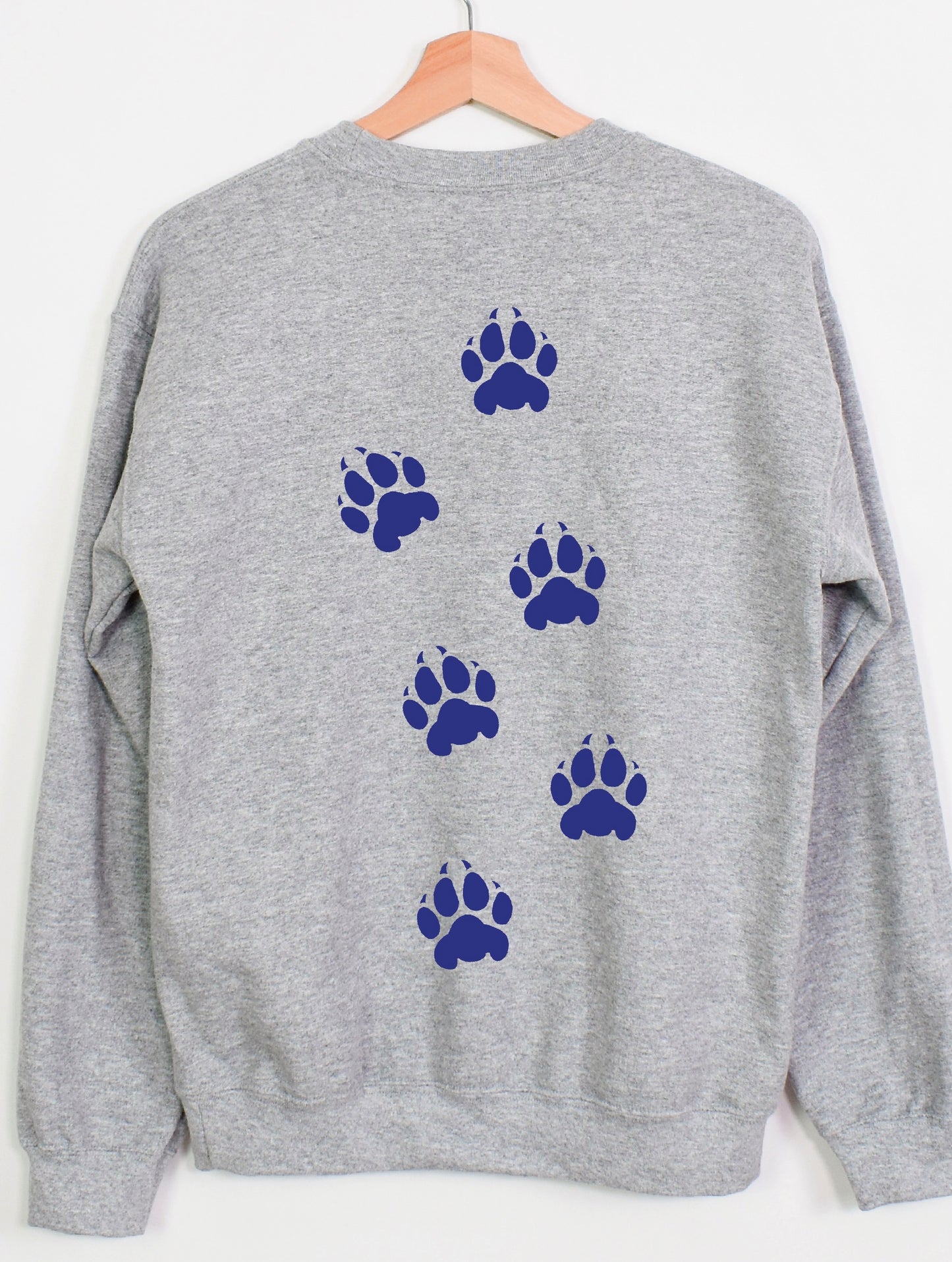 Lions! sweatshirt
