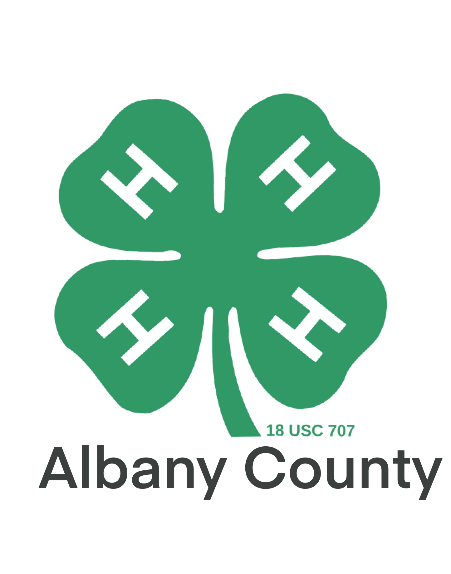 4H County Fair Hoodie - Custom with your club, name, and projects