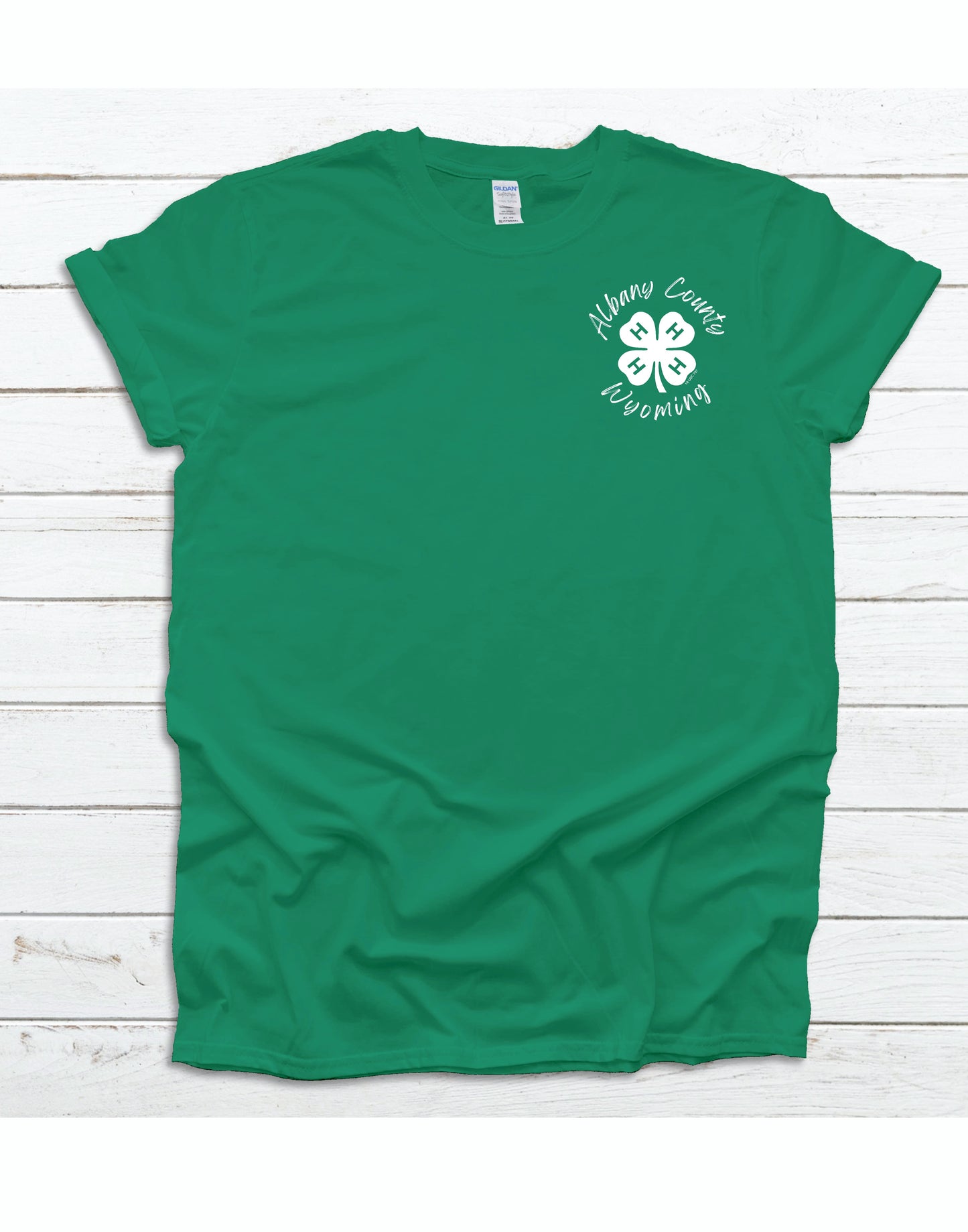 4H Pledge